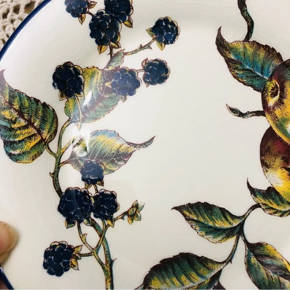 Pier 1  Macintosh Italy Salad Desert Apple Blackberry Pattern Set of 5